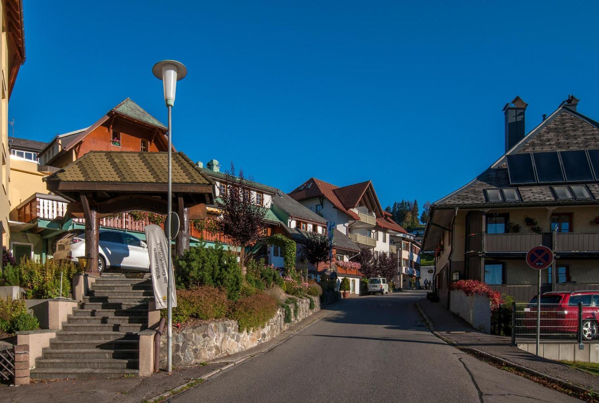 Apartment 13 - Ferienresidenz Roseneck, Mit Schwimmbad In Todtnauberg Bei Feldberg Exterior foto