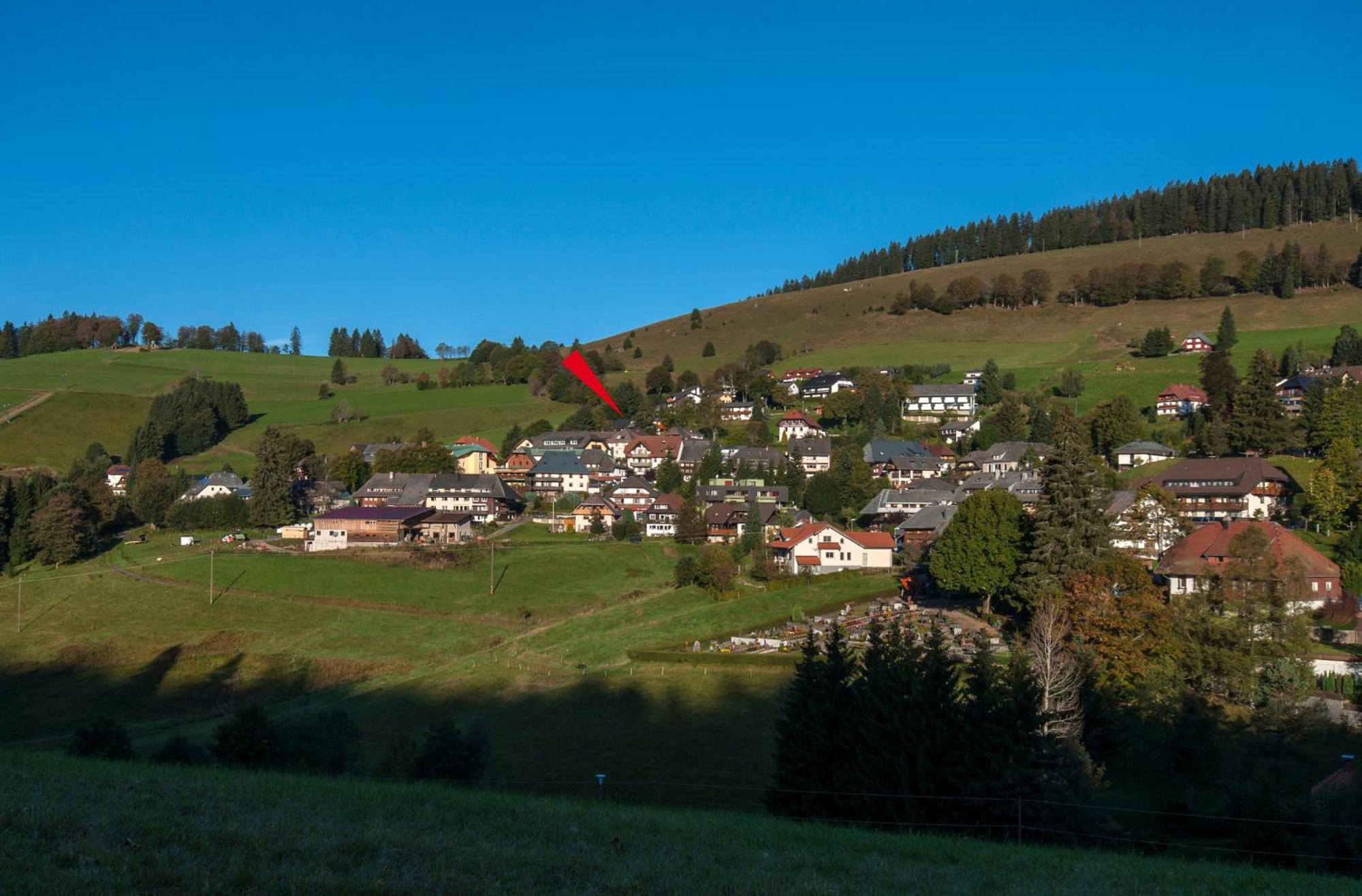 Apartment 13 - Ferienresidenz Roseneck, Mit Schwimmbad In Todtnauberg Bei Feldberg Exterior foto